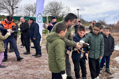 Bursa'da minik eller, doğaya ördek saldı