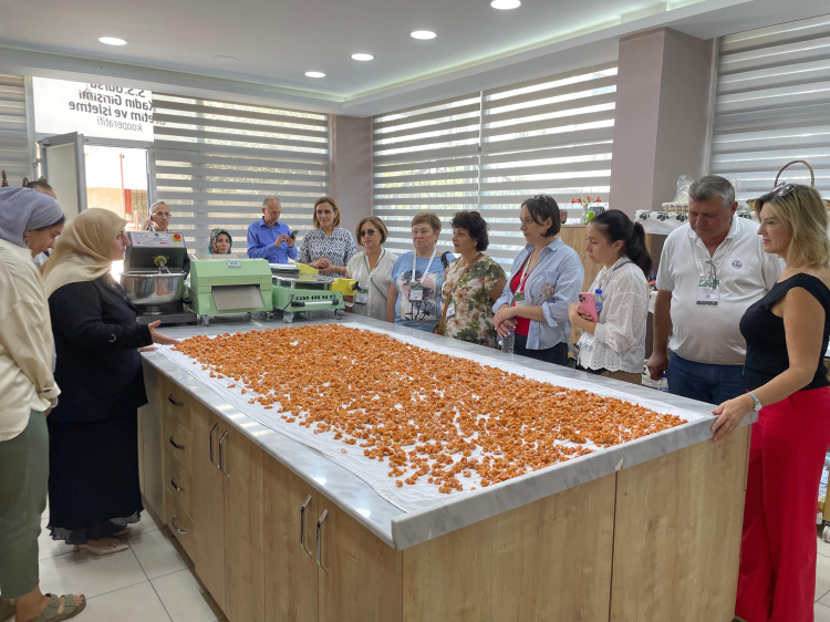 Bursa’da üreticilerin görüşleriyle güçlenen proje -Bursa Hayat-3