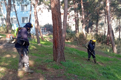 Gemlik’in farklı mahallelerinde çevre düzenleme çalışmaları!