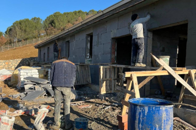 Orhangazi Belediyesi’nden sokak hayvanlarına yeni yaşam alanı