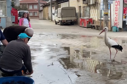 Leylekler Yaren’den ilham aldı!