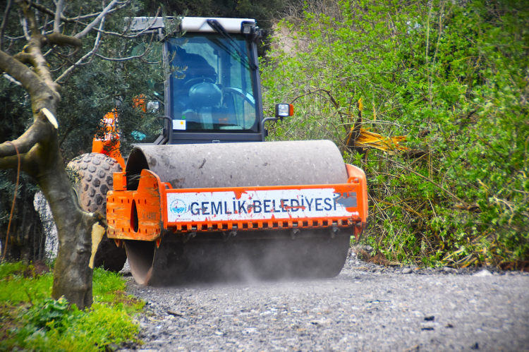 Bursa Gemlik’te sokak hayvanlarına barınak, bölge halkına doğa iç içe yaşam alanı - Bursa Hayat Gazetesi-3