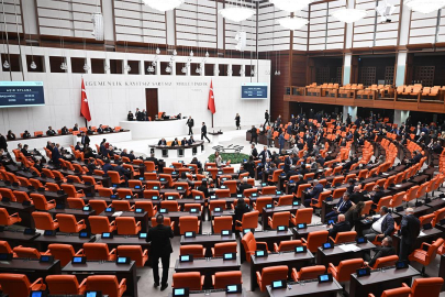 TBMM Dilekçe Komisyonu'na yapılan ilginç talepler dikkat çekiyor