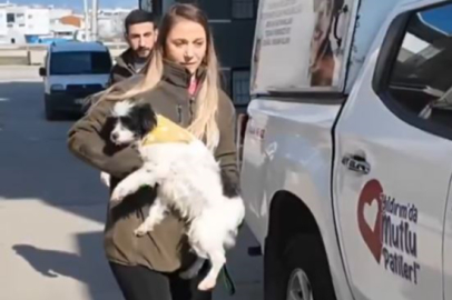Yıldırım Belediyesi'nin kampanyasıyla Minnoş yeni sahibine kavuştu
