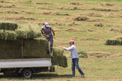 Bursa'da saman fiyatlarında büyük artış!