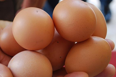 Organik yumurta fiyatları 400 TL’yi aştı: Artışın sebebi ne?