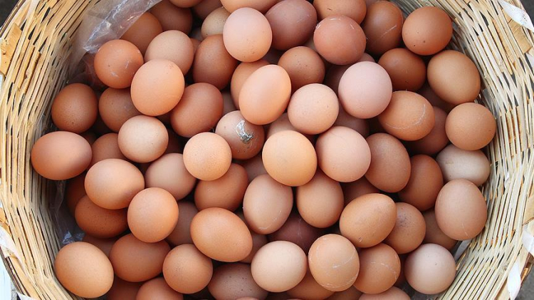 Organik yumurta fiyatları 400 TL’yi aştı: Artışın sebebi ne?-Bursa Hayat Gazetesi-2