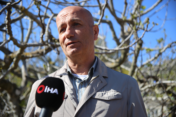 Zirai don tarımı vurdu: İhracat etkilenecek mi? - Bursa Hayat Gazetesi-2