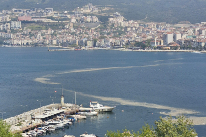 Gemlik Körfezi’nde tedirgin eden görüntü: Müsilaj tabakası oluştu
