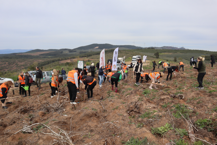 BUSADER, 10 bin ağaçla doğaya yeni bir soluk getiriyor -Bursa Hayat-2