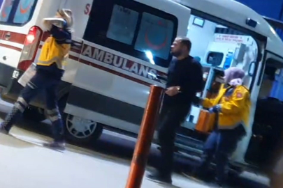 Bursa’da köpeğe çarpan araç tarlaya uçtu! Sürücü yaralandı, köpek öldü