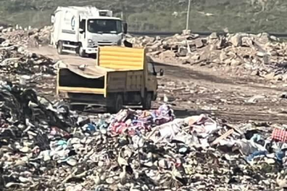 Bursa’da barınakta öldürülen köpekler çöplüğe atıldı! Osmangazi Belediyesi'nden açıklama geldi
