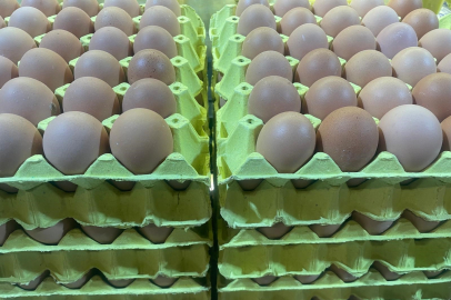 Yumurta piyasasında fahiş fiyat uyarısı!
