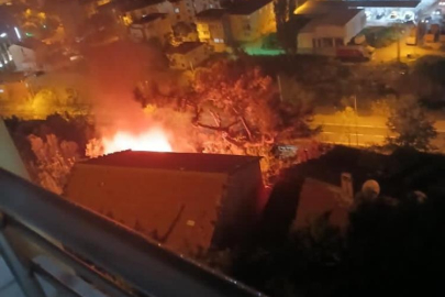 Bursa Gemlik’te korkutan yangın! Mahallede paniğe yol açtı