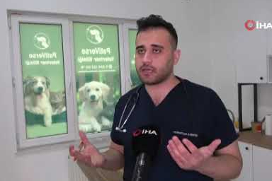 Evcil hayvan sahipleri dikkat! Hayati önem taşıyor