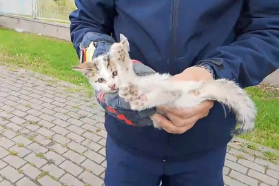 Bursa’da aracın motoruna sıkışan kedi itfaiye tarafından kurtarıldı