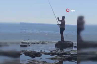 Alanya'da hırsız karga kamerada! Oltayla tutulan balıkları kovadan çalıp yedi