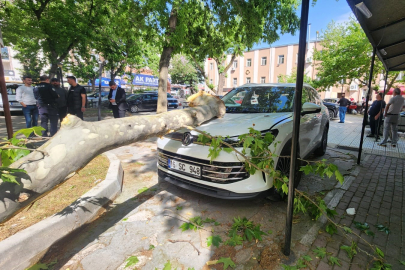 Mustafakemalpaşa'da çınar ağacından kopan dal park halindeki araca zarar verdi
