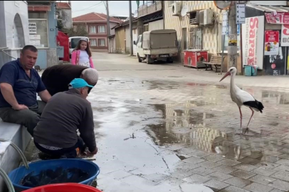 Yaren’den sonra Bilal leyleğin de yavruları oldu