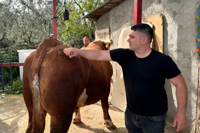 Bursa’da kurbanlık pazarı Paşa’yı konuşuyor