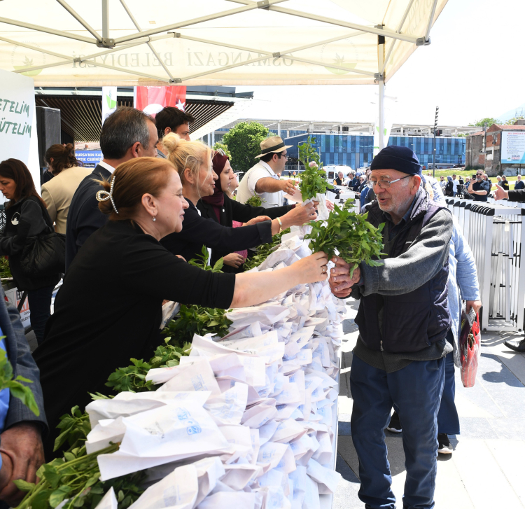 Osmangazi Meydanı’nda uzun kuyruklar… Ata tohumdan binlerce fide dağıtıldı - Bursa Hayat Gazetesi-5