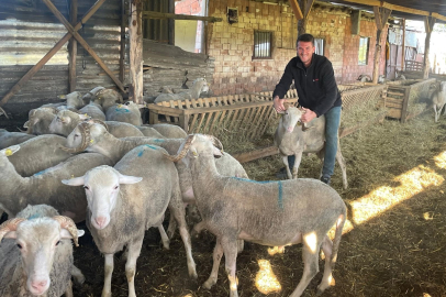 Bursalı besici, kurban satışından elde edeceği gelirle düğün yapacak