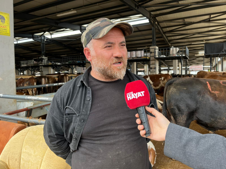 Kurban pazarlarında hareketlilik başladı! Fiyatlar ve talep ne durumda? -Bursa Hayat-2