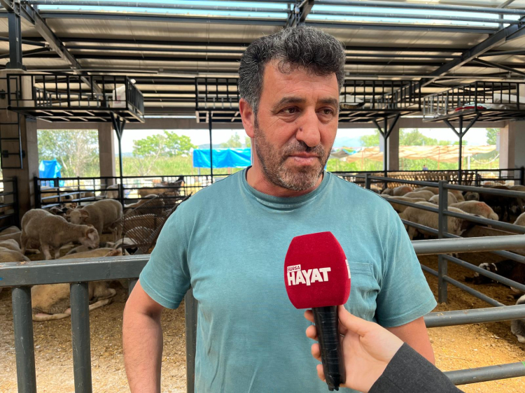 Kurban pazarlarında hareketlilik başladı! Fiyatlar ve talep ne durumda? -Bursa Hayat-4
