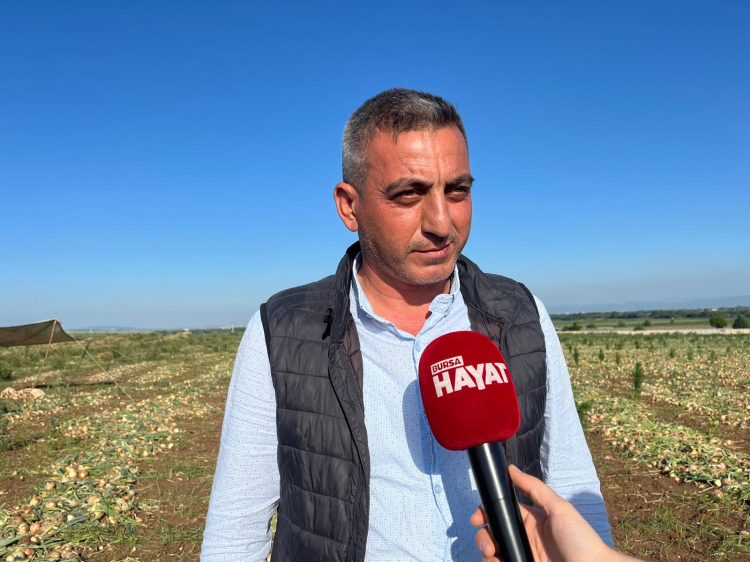 Bursa’da üretici endişeli! Soğan tarlasında emek var, kazanç yok -Bursa Hayat-2