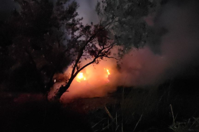 Mudanya’da alevler geceyi aydınlattı!