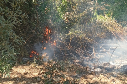 İznik’te orman yangını paniği: Büyümeden söndürüldü!