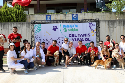 Mudanya Belediyesi’nden örnek etkinlik: 47 hayvan yeni sahibini buldu!