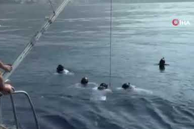 Şahika Ercümen'den 4 günde 4 altın madalya