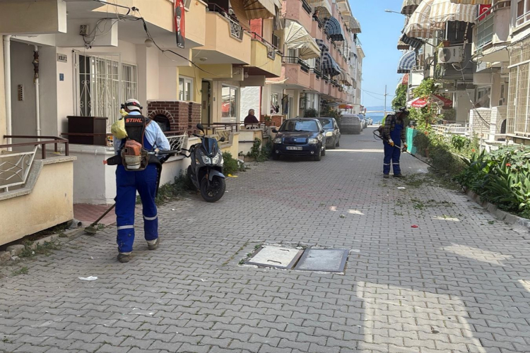 Gemlik Belediyesi’nden Kumla’da yoğun temizlik mesaisi - Bursa Hayat Gazetesi-2