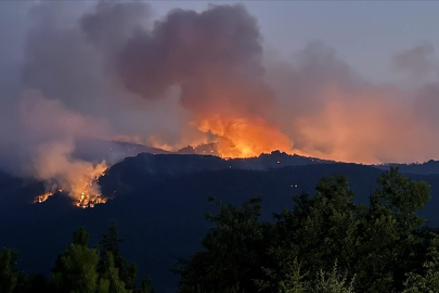 Eskişehir’deki orman yangınında acı kayıp: 10 şehit!