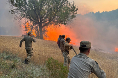 Son 18 günde 61 orman yangını: 23 şüpheliden 4’ü tutuklandı