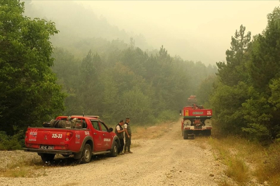 Türkiye'nin dört bir yanında orman yangınlarıyla mücadele sürüyor!