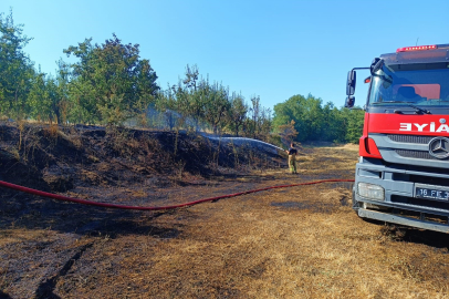 İnegöl'deki orman yangını kısa sürede söndürüldü