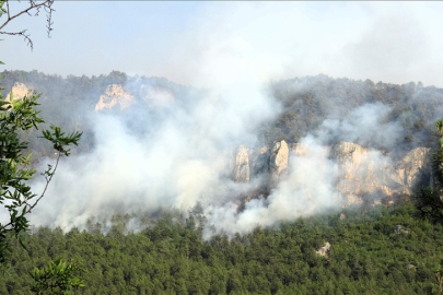 Yurdun dört bir yanında alevlerle zorlu mücadele!