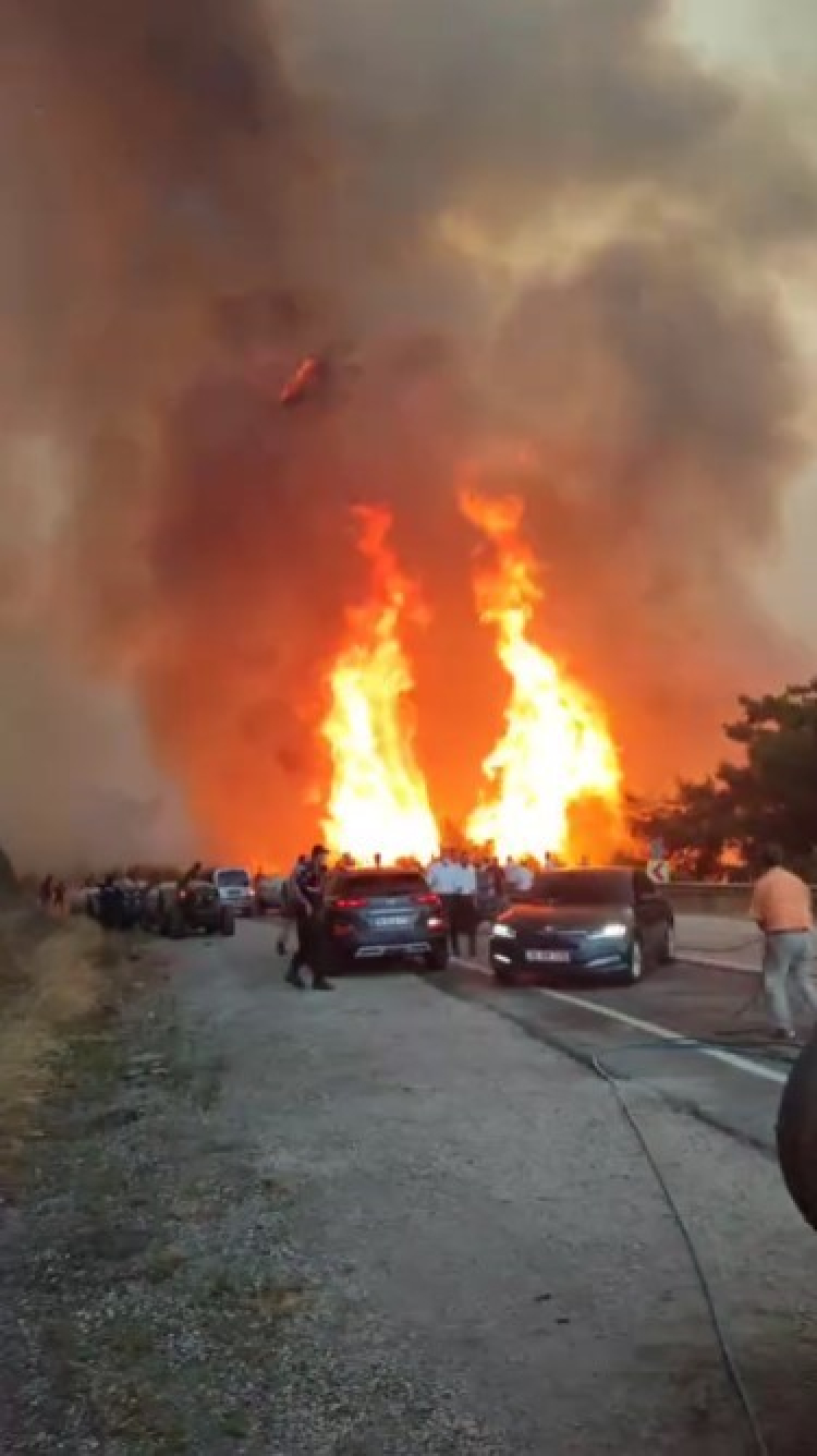 Bursa'nın iki ilçesinde orman yangını büyüyor! Müdahale sürüyor-Bursa Hayat Gazetesi-2