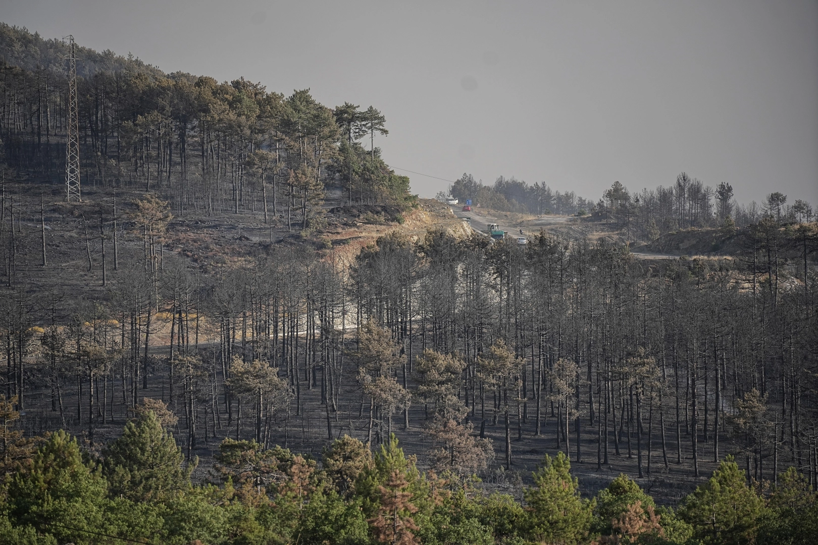 Alevler ormanları sildi! Bursa'nın yeşil yüzü griye büründü