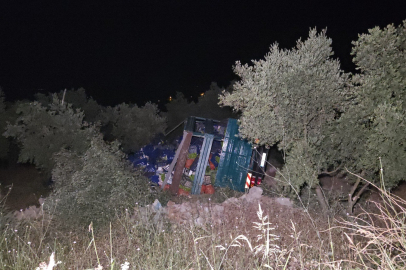 Bursa'da virajı alamayan biber yüklü kamyon zeytinliğe devrildi