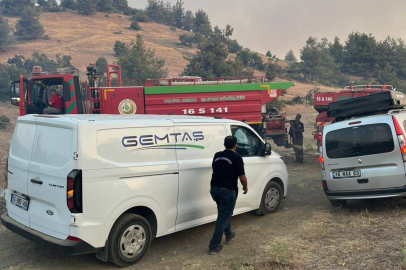 Gemlik ve çevresinde orman yangını alarmı: Ekipler sahada!