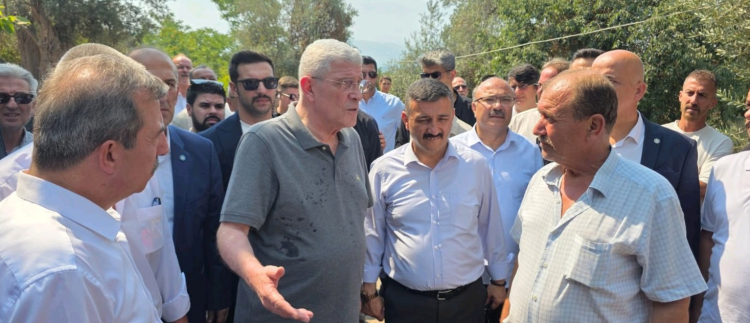 İYİ Parti lideri Dervişoğlu Bursa'da yangın bölgesini ziyaret etti - Bursa Hayat Gazetesi-3