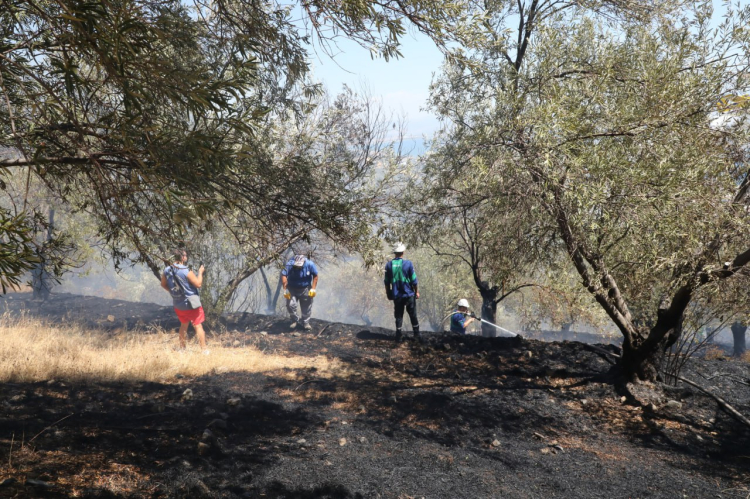 Edremit’te yangına hızlı müdahale felaketi önledi - Bursa Hayat Gazetesi-4