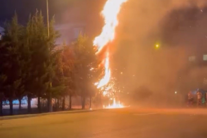 Nilüfer’de torpil yangını: Ağaçlık alan kül oldu