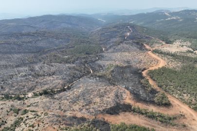 Yeşil Bursa'nın yanan ormanları için harekete geçildi