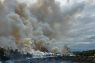 Bursa'nın Yenişehir ilçesinde orman yangını! Kontrol altına alındı mı?