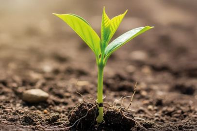 BUSADER’den yangınların yaralarını saracak kampanya