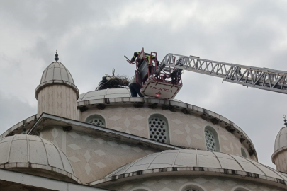 İznik’te mahsur kalan leylek için zamanla yarış!